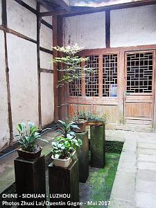 Luzhou 043